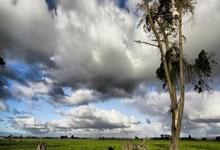 雷速体育比分直播-年终总决赛险胜戴维斯杯，梅德韦杰夫扛起全队