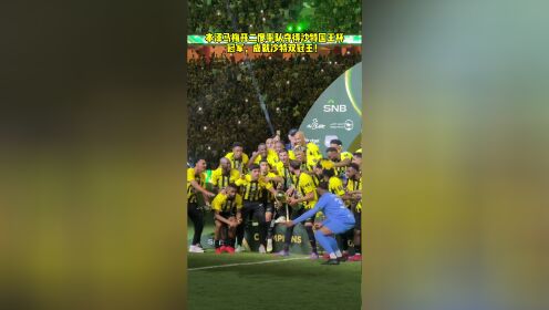 包含皇家马德里主场大胜里昂，本泽马梅开二度稳住胜局的词条