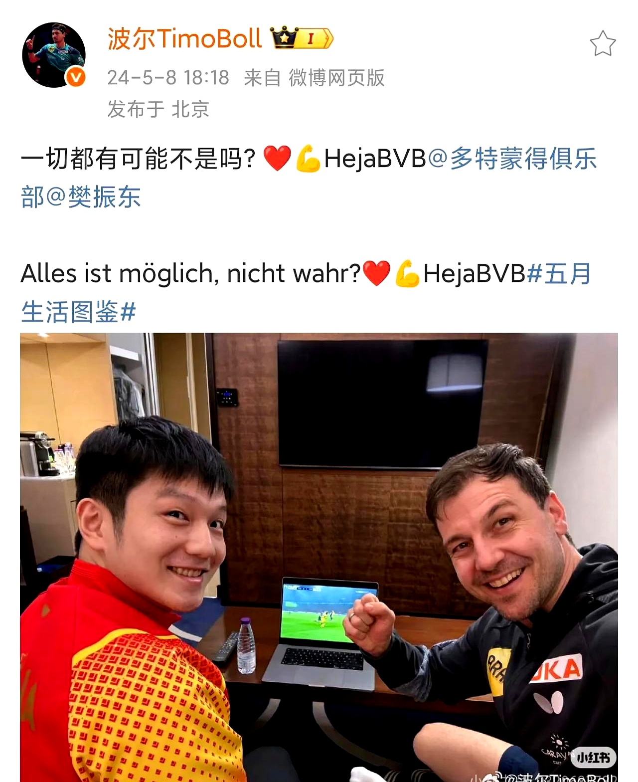 日本乒乓球队力克法国乒乓球队,波尔关键制胜的简单介绍 日本乒乓球队力克法国乒乓球队,波尔关键制胜的简单介绍